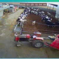 گاوداری صنعتی