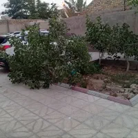 منزل فروشی 300 متری / حاشیه خیابان نور