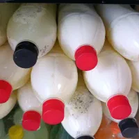 ماست چکیده و دوغ محلی و کره محلی