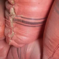 کاه زابل