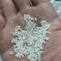 برنج سالم علی کاظمی ۳۰کیلو درجه یک