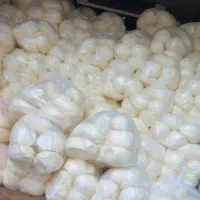 ساری باغ کرسی