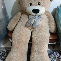 خرس دو متری نو