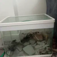 آکواریوم با وسایل