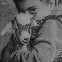 سفارش نقاشی و طراحی