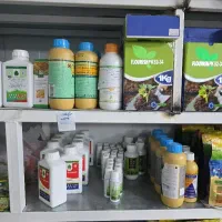 استخدام گیاهپزشک خانم یا ارشد زراعت و باغبانی