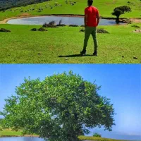 تور یکروزه گیلانگردی رشت