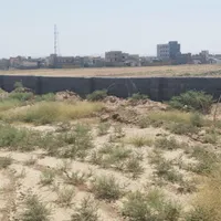 فروش چهار دیواری بامجوز پرورش قارچ درشهر زاویه|فروش دفتر صنعتی، کشاورزی، تجاری|تهران, آذری|دیوار