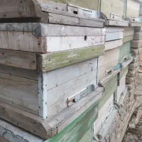 کلیه وسایل زنبور داری