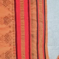 پلیوار دوز اصل  میخآم ب مبلغ دو تومن