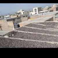 بناهستم همه کاره.
