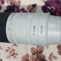 canon 200 800 و canon R8|دوربین عکاسی و فیلم‌برداری|قزوین, |دیوار