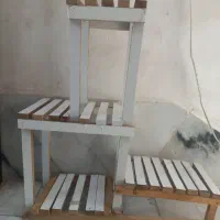 استند گل گیاه