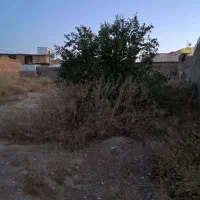 جویای کارحراست ونانوایی وسایر کارها
