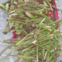 ریواس بدون برگه