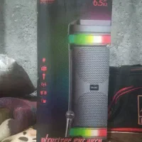 اسپیکر ‌بزرگ‌‌خانگی