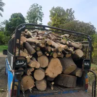 خریدار چوب