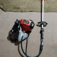 علف زن در حد نو