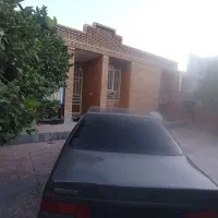 خودرو سواری روآ