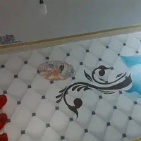 فروش خانه ویلایی