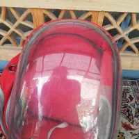 کوله حمل حیوانات
