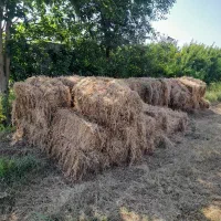 یونجه خشک پرس