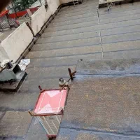 نصاب ایزوگام هستم خرید ایزوگام باشما نصب عالی ا