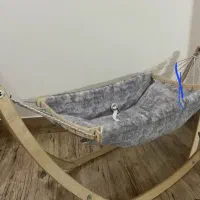 ننو نوزاد