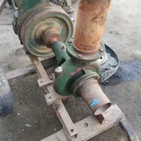 مارگو کولری