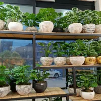 گل و گلدون خارجی