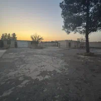 فروشی-گاوداری-در-تفرش