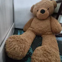 فروش عروسک خرس بزرگ ۲ متری