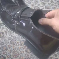 کفش مجلسی