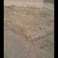 زمین ۹۰ متردونبش قوطی کبریت داخل محدوده وردان