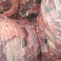 غذای سگ