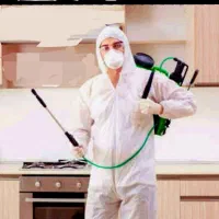 سمپاشی صدرصدتضمینی سم پاشی سوسگ‌وساس و...