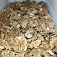 مغز گردو