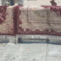 می شورم پالاز  قالی موکت