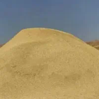 کاه گندم