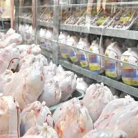 استخدام وانت پراید یا آریسان یخچالی