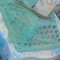 اکسیژن ماهی