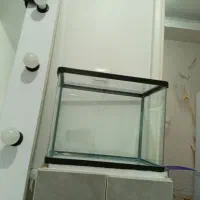 اکواریوم