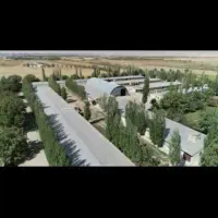 اجاره-مرغداری