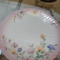 بشقاب آرکو پال
