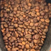 فروش قهوه به صورت دان خام و رست شده