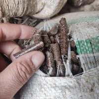 کنجاله کنجد. سیاهدانه. افتاب