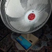 پنکه زمینی