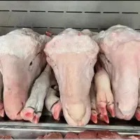 پاک کردن کله پاچه
