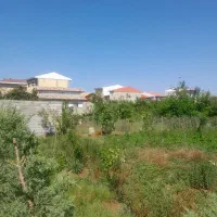 ۲۵۰متر زمین با کاربری کاملا مسکونی و شهری