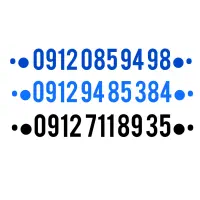 09120859498